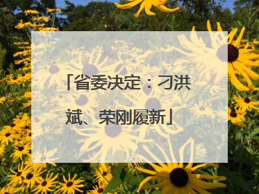 省委决定：刁洪斌、荣刚履新