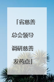 省慈善总会领导调研慈善发药点