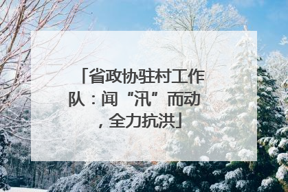 省政协驻村工作队：闻“汛”而动，全力抗洪