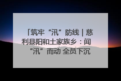 筑牢“汛”防线｜慈利县阳和土家族乡：闻“汛”而动 全员下沉筑牢防汛“安全堤”