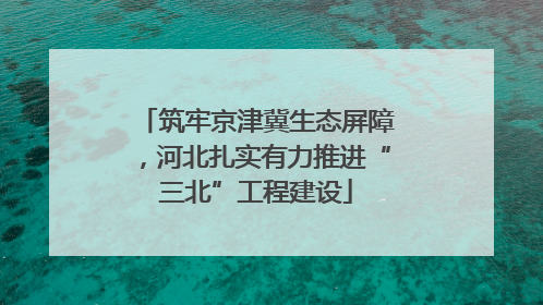 筑牢京津冀生态屏障，河北扎实有力推进“三北”工程建设