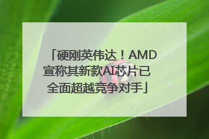 硬刚英伟达！AMD宣称其新款AI芯片已全面超越竞争对手