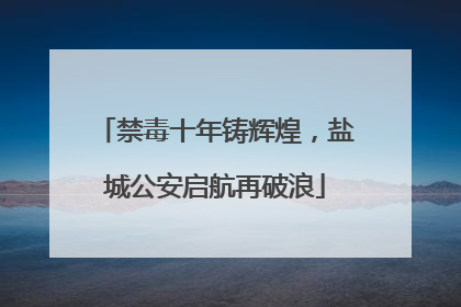 禁毒十年铸辉煌，盐城公安启航再破浪