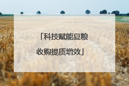 科技赋能夏粮收购提质增效