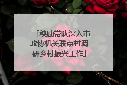 秧励带队深入市政协机关联点村调研乡村振兴工作