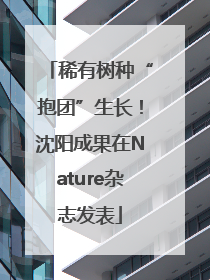 稀有树种“抱团”生长！沈阳成果在Nature杂志发表