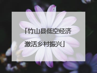竹山县低空经济激活乡村振兴