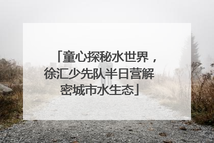 童心探秘水世界，徐汇少先队半日营解密城市水生态