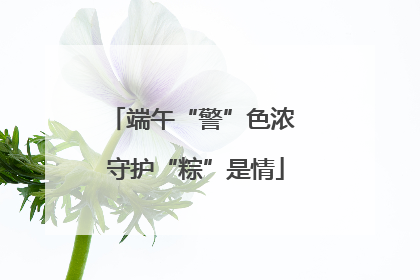 端午“警”色浓 守护“粽”是情