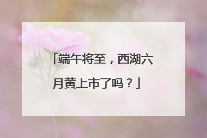 端午将至，西湖六月黄上市了吗？