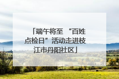 端午将至 “百姓点检日”活动走进枝江市丹阳社区