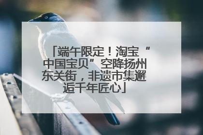 端午限定！淘宝“中国宝贝”空降扬州东关街，非遗市集邂逅千年匠心