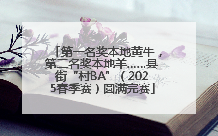 第一名奖本地黄牛，第二名奖本地羊……县街“村BA”（2025春季赛）圆满完赛