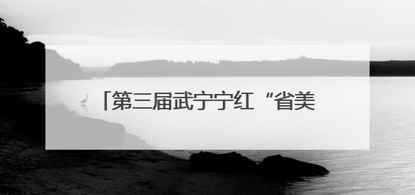 第三届武宁宁红“省美酒”杯斗茶大赛举行