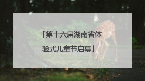 第十六届湖南省体验式儿童节启幕