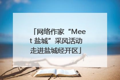 网络作家“Meet 盐城”采风活动走进盐城经开区