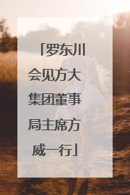罗东川会见方大集团董事局主席方威一行