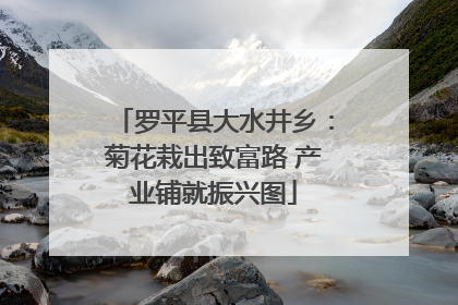 罗平县大水井乡：菊花栽出致富路 产业铺就振兴图