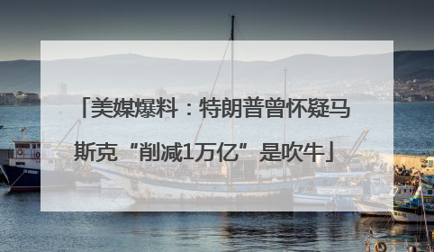 美媒爆料：特朗普曾怀疑马斯克“削减1万亿”是吹牛