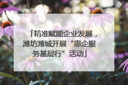 精准赋能企业发展，潍坊潍城开展“惠企服务基层行”活动