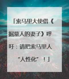 索马里大使借《掘墓人的妻子》呼吁：请把索马里人“人性化”！
