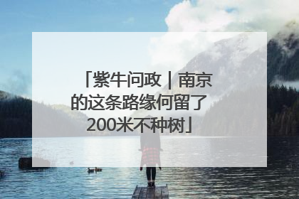 紫牛问政｜南京的这条路缘何留了200米不种树
