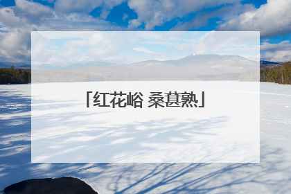 红花峪 桑葚熟