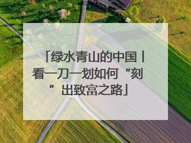 绿水青山的中国丨看一刀一划如何“刻”出致富之路