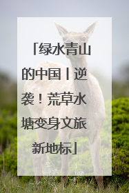 绿水青山的中国丨逆袭！荒草水塘变身文旅新地标