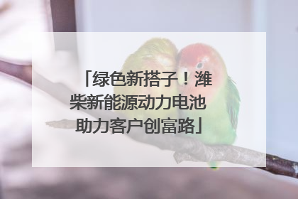 绿色新搭子！潍柴新能源动力电池助力客户创富路