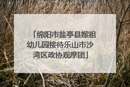 绵阳市盐亭县嫘祖幼儿园接待乐山市沙湾区政协观摩团