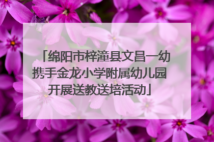 绵阳市梓潼县文昌一幼携手金龙小学附属幼儿园开展送教送培活动