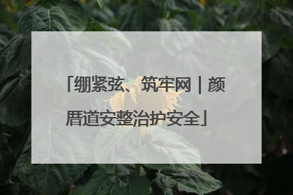 绷紧弦、筑牢网｜颜厝道安整治护安全