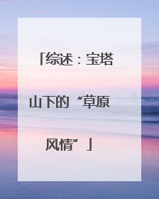 综述：宝塔山下的“草原风情”