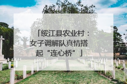 绥江县农业村：女子调解队真情搭起“连心桥”