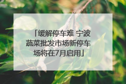 缓解停车难 宁波蔬菜批发市场新停车场将在7月启用