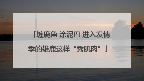 缠鹿角 涂泥巴 进入发情季的雄鹿这样“秀肌肉”