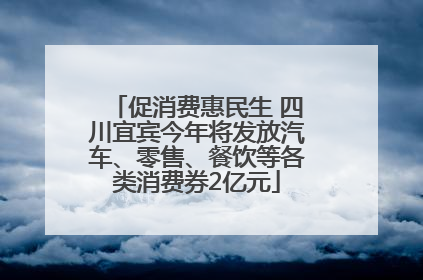 促消费惠民生 四川宜宾今年将发放汽车、零售、餐饮等各类消费券2亿元