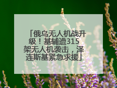 俄乌无人机战升级！基辅遭315架无人机袭击，泽连斯基紧急求援