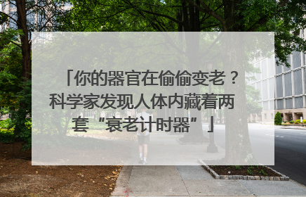 你的器官在偷偷变老？科学家发现人体内藏着两套“衰老计时器”