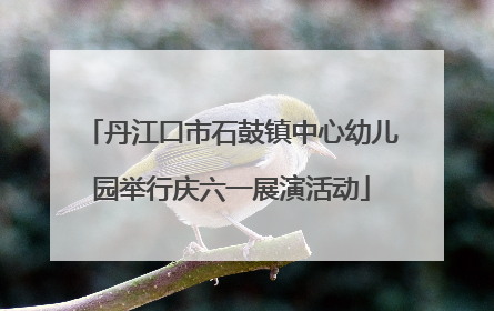 丹江口市石鼓镇中心幼儿园举行庆六一展演活动