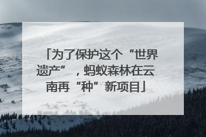 为了保护这个“世界遗产”，蚂蚁森林在云南再“种”新项目