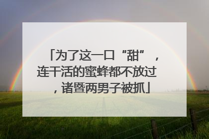为了这一口“甜”，连干活的蜜蜂都不放过，诸暨两男子被抓