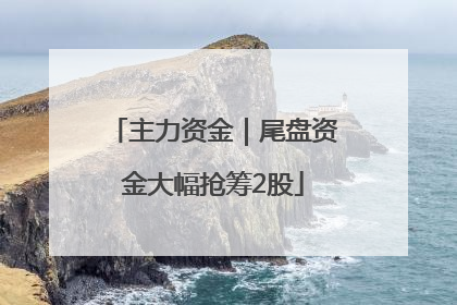主力资金｜尾盘资金大幅抢筹2股