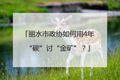 丽水市政协如何用4年“碳”讨“金矿”？