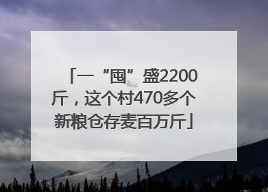 一“囤”盛2200斤，这个村470多个新粮仓存麦百万斤