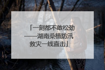 一刻都不敢松劲——湖南桑植防汛救灾一线直击