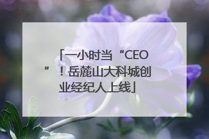 一小时当“CEO”！岳麓山大科城创业经纪人上线