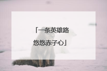 一条英雄路 悠悠赤子心