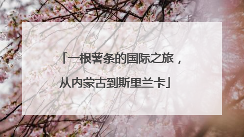 一根薯条的国际之旅，从内蒙古到斯里兰卡